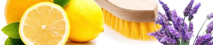 Green-DIY-Cleaning-Products-1020x399.jpg